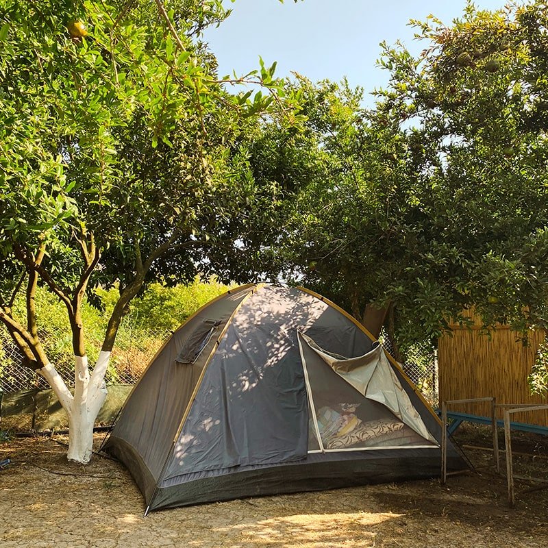 Şirinler Camping Galeri